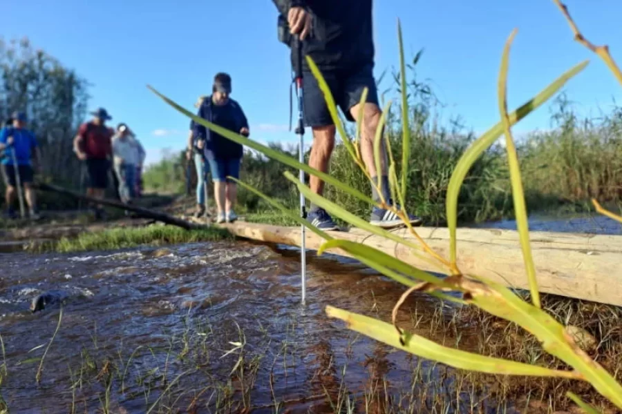 Fossil Hills Wine Walk